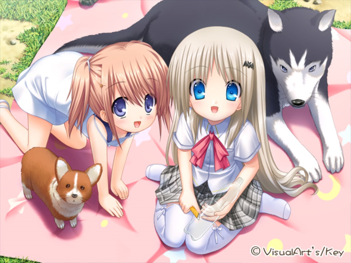 图片[2] - 【Gal】【PC/汉化】库特wafter / Kud wafter / クドわふたー - Hikarinagi